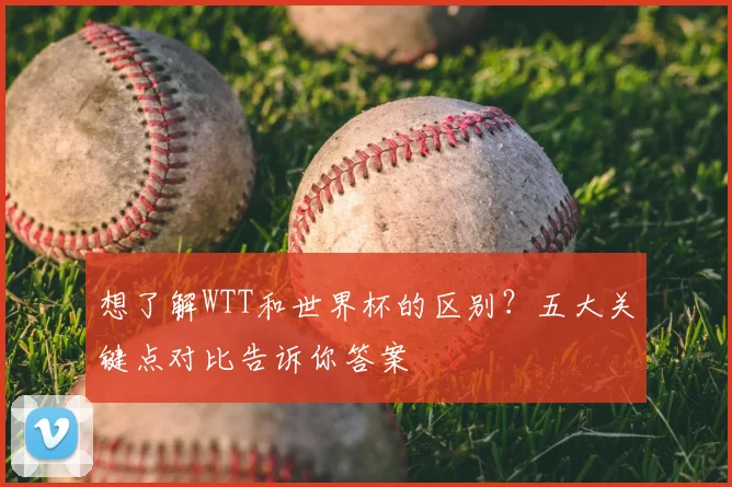 想了解WTT和世界杯的区别？五大关键点对比告诉你答案