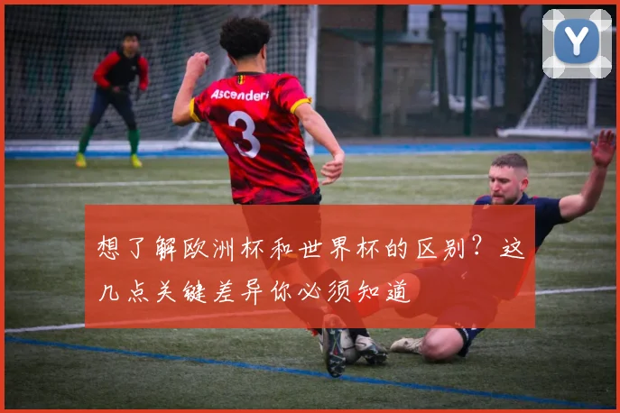 想了解欧洲杯和世界杯的区别？这几点关键差异你必须知道