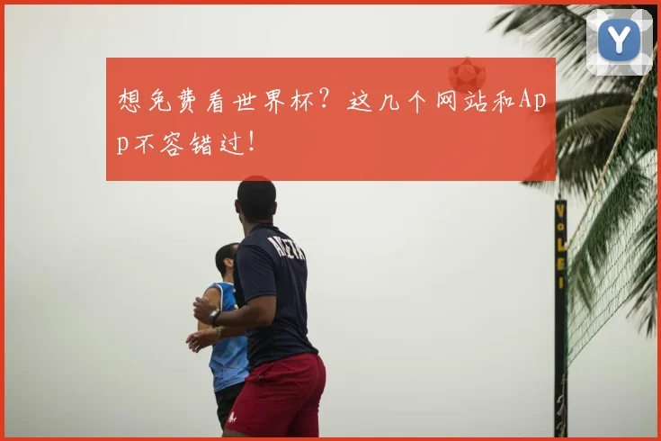 想免费看世界杯？这几个网站和App不容错过！
