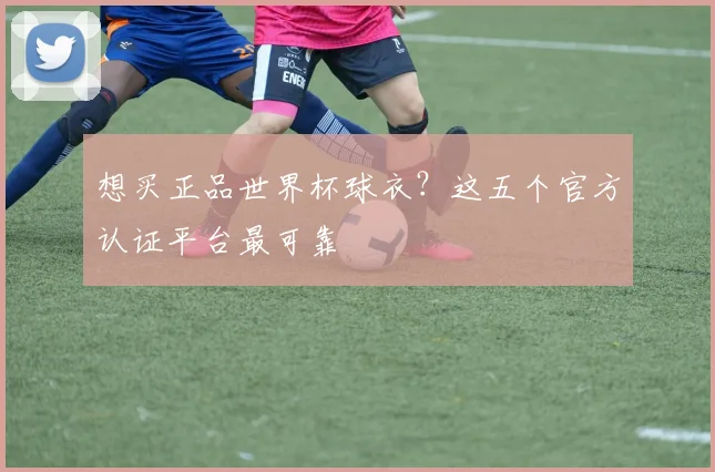 想买正品世界杯球衣？这五个官方认证平台最可靠