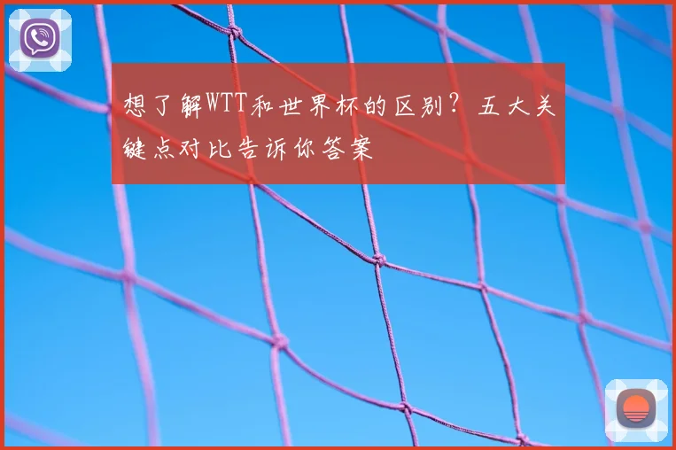 想了解WTT和世界杯的区别？五大关键点对比告诉你答案