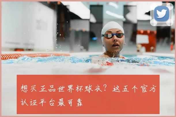 想买正品世界杯球衣？这五个官方认证平台最可靠