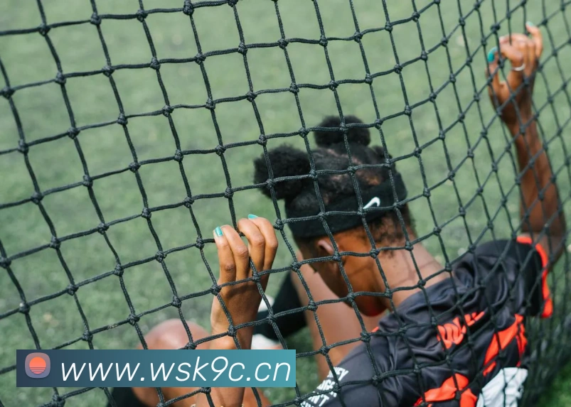 乐鱼手机在线登录入口品牌故事